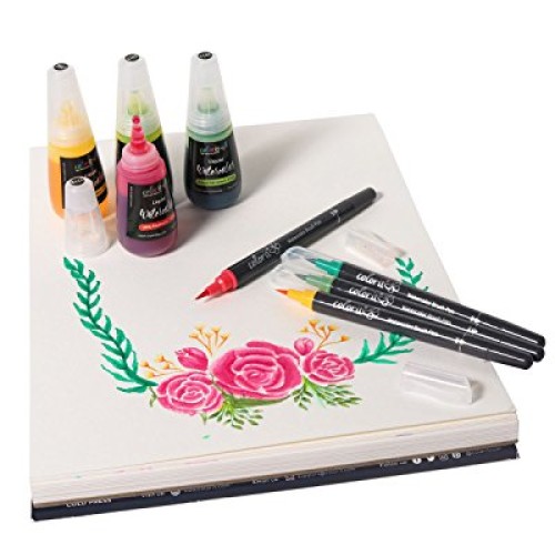 ColorIt Liquid Watercolor Ink 1oz Bottle Dashing Dark Green C139 -...