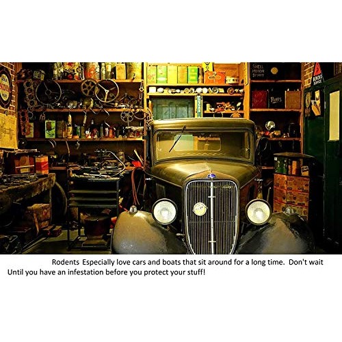 Colton’s Naturals Mice Repellent - 32 Ounce -Mouse Repellent Spray...