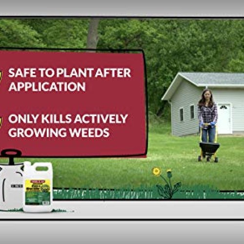 Compare-N-Save 016869 Concentrate Grass and Weed Killer, 41-Percen...
