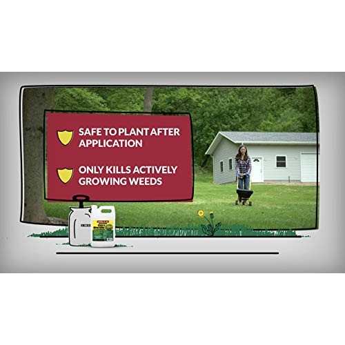 Compare-N-Save 016869 Concentrate Grass and Weed Killer, 41-Percen...