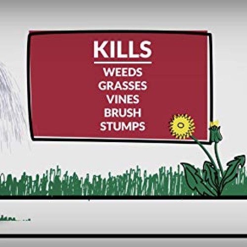 Compare-N-Save 016869 Concentrate Grass and Weed Killer, 41-Percen...