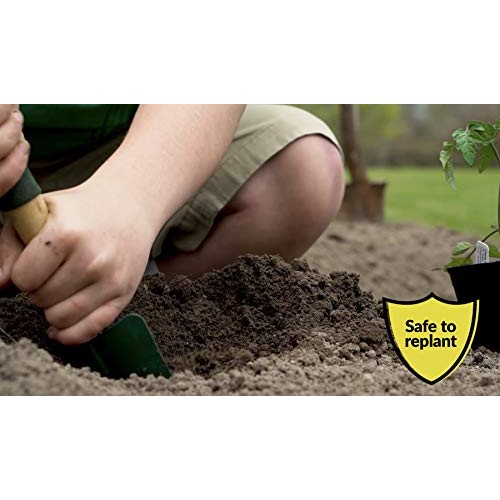 Compare-N-Save 016869 Concentrate Grass and Weed Killer, 41-Percen...