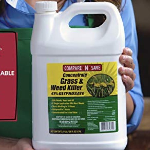 Compare-N-Save 016869 Concentrate Grass and Weed Killer, 41-Percen...