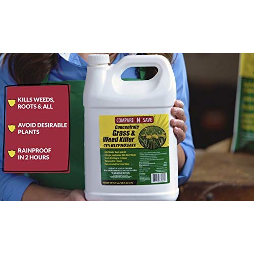 Compare-N-Save 016869 Concentrate Grass and Weed Killer, 41-Percen...