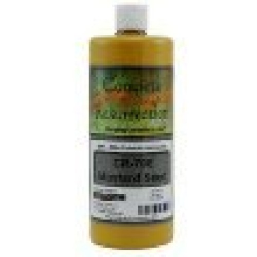 Concrete Resurrection Concrete Stain Concentrate Just Add Water, U...