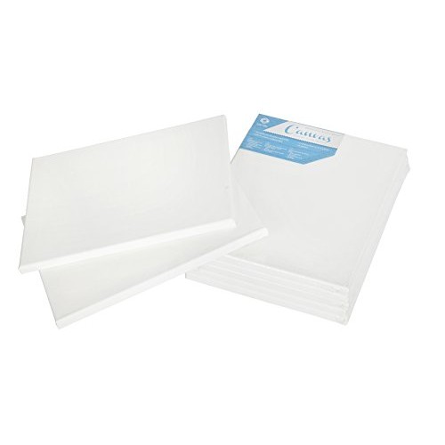 CONDA and Kiddy Color 8×10inch Stretched Canvas 8 x 10 10 Pack ...