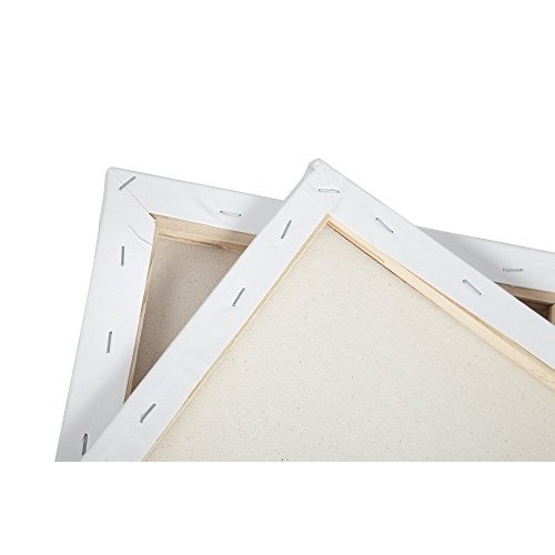 CONDA and Kiddy Color 8×10inch Stretched Canvas 8 x 10 10 Pack ...