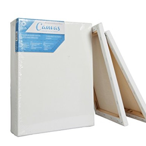 CONDA and Kiddy Color 8×10inch Stretched Canvas 8 x 10 10 Pack ...