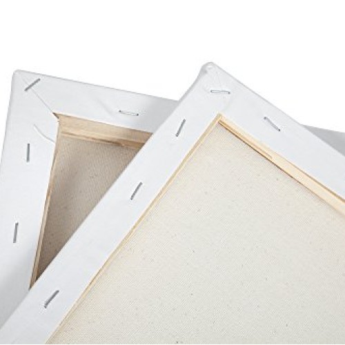 Conda & Kiddycolor Artist Acid Free Stretched Canvas 16 X20 Pack...