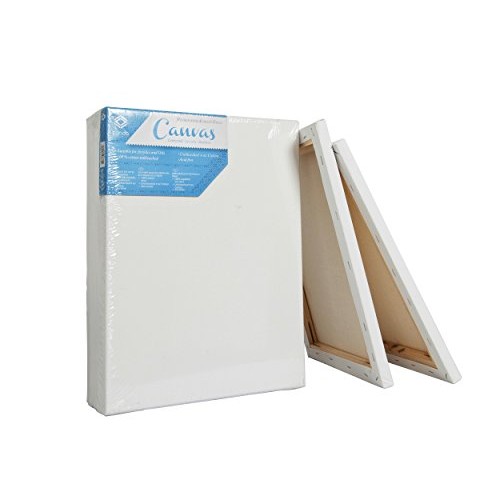 Conda & Kiddycolor Artist Acid Free Stretched Canvas 16 X20 Pack...