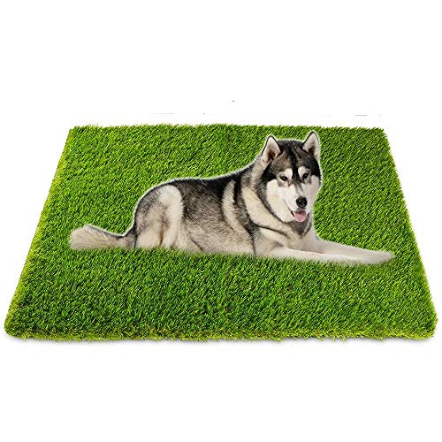 Artificial Grass, Professional Dog Grass Mat, Potty Training Rug a...