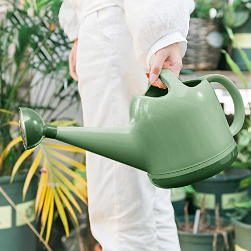 Watering Can 1 Gallon with Sprinkler Head, Plant Watering Can Long...