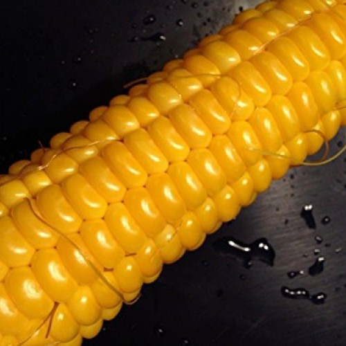 200 Corn Seed,Golden Bantam 8 row O.P. Heirloom,Very Sweet !