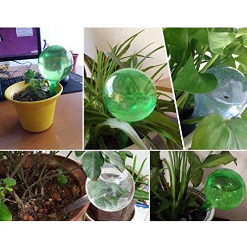 CoscosX 6 Pcs Automatic Watering Device Globes Vacation Houseplant...