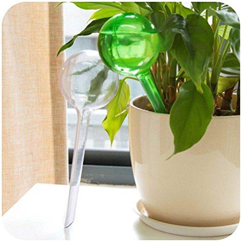 CoscosX 6 Pcs Automatic Watering Device Globes Vacation Houseplant...