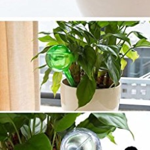 CoscosX 6 Pcs Automatic Watering Device Globes Vacation Houseplant...