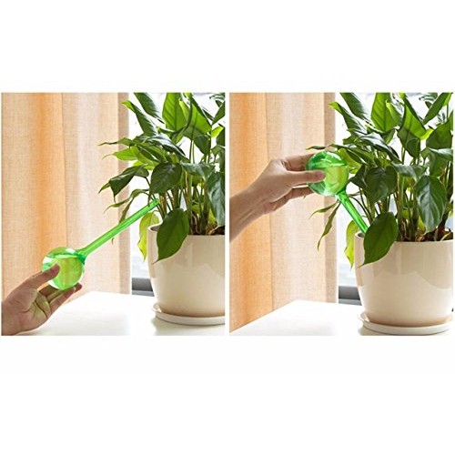 CoscosX 6 Pcs Automatic Watering Device Globes Vacation Houseplant...