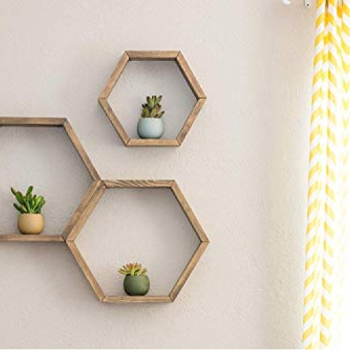 Costa Farms Various Succulents Indoor Plants 25-Pack, Growers Cho...