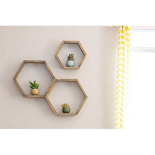 Costa Farms Various Succulents Indoor Plants 25-Pack, Growers Cho...