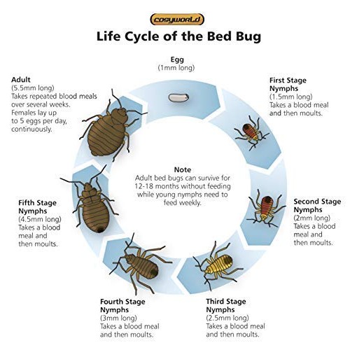 Bed Bug Killer Spray, Fast and Sure Kill with Extended Residual Pr...