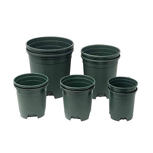 10 Pack Plastic Plant Pots Nursery Gardening Planters Green Color ...