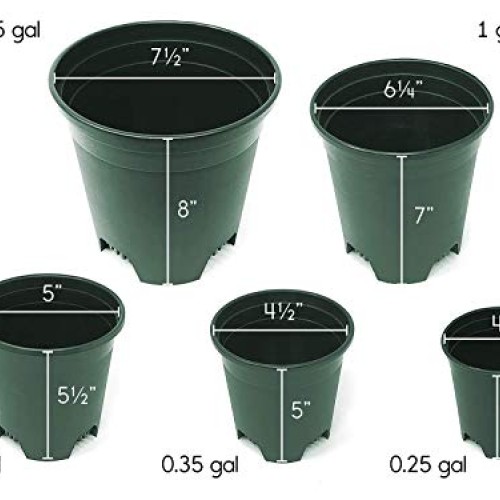 10 Pack Plastic Plant Pots Nursery Gardening Planters Green Color ...