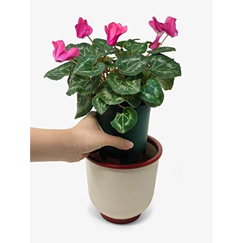 10 Pack Plastic Plant Pots Nursery Gardening Planters Green Color ...