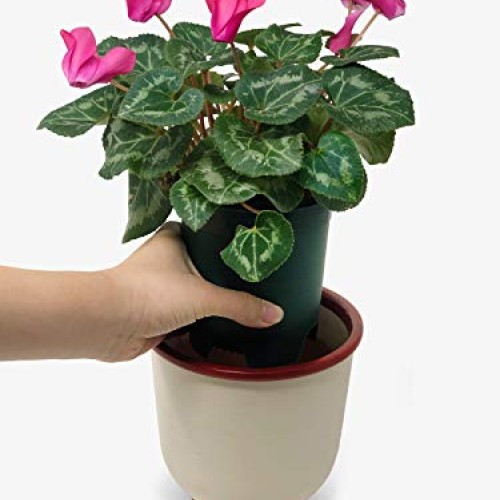 10 Pack Plastic Plant Pots Nursery Gardening Planters Green Color ...