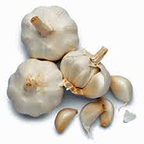 Garlic Bulb 7 Pack, Fresh California Softneck Garlic Bulb For Pl...