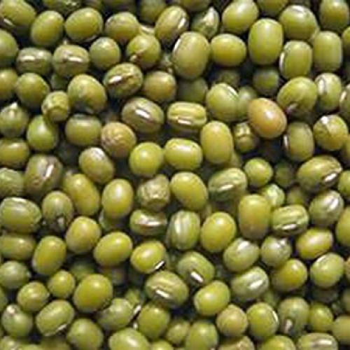 Mung Bean Sprouting Seed - 16 Oz/1 Pound - Country Creek Brand - D...