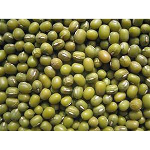 Mung Bean Sprouting Seed - 16 Oz/1 Pound - Country Creek Brand - D...