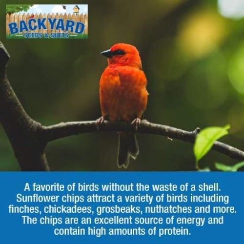 Sunflower Chips Shelled No Waste Bird Seed 10 Pounds