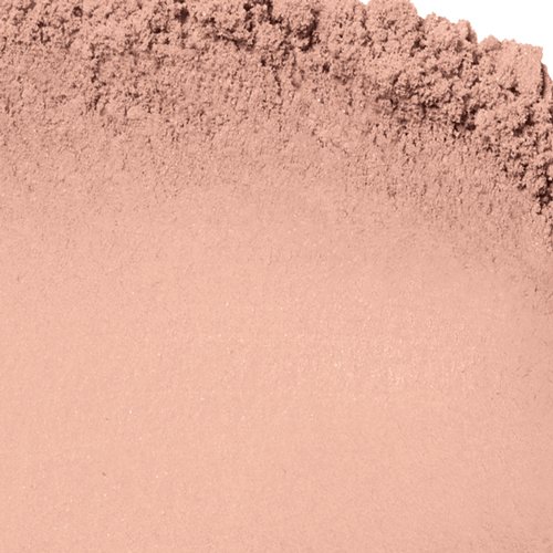 COVERGIRL Professional Loose Finishing Powder, 1 Container 0.7 oz...