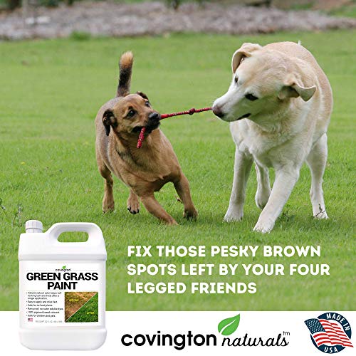 Covington Green Grass Paint for Lawn - Green Lawn Paint Grass Spra...