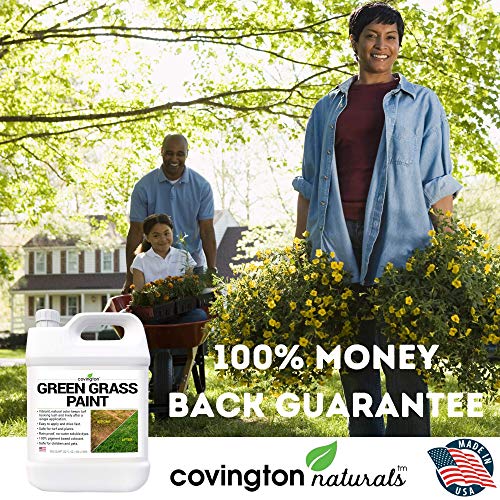 Covington Green Grass Paint for Lawn - Green Lawn Paint Grass Spra...