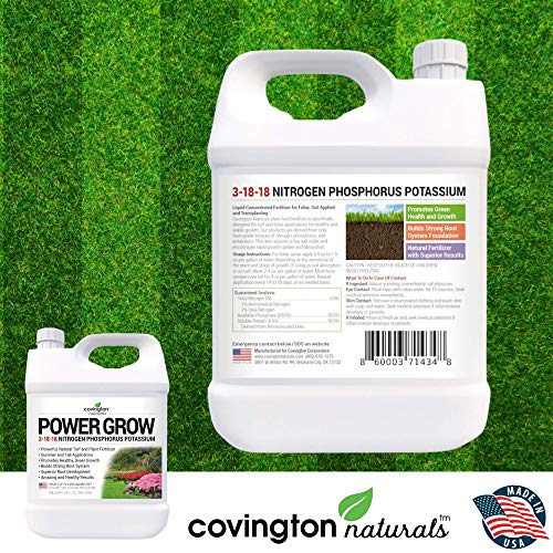 Liquid Lawn Fertilizer, 3-18-18 NPK Grass Fertilizer, Premium Lawn...