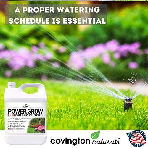 Liquid Lawn Fertilizer, 3-18-18 NPK Grass Fertilizer, Premium Lawn...