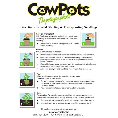 CowPots TV208926 3 Round Cow Pot Planter 12 Pack, 175mL