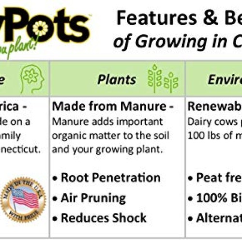 CowPots TV208926 3 Round Cow Pot Planter 12 Pack, 175mL