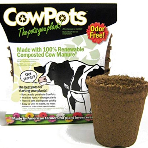 CowPots TV208926 3 Round Cow Pot Planter 12 Pack, 175mL