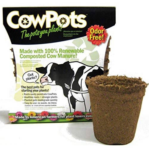 CowPots TV208926 3 Round Cow Pot Planter 12 Pack, 175mL