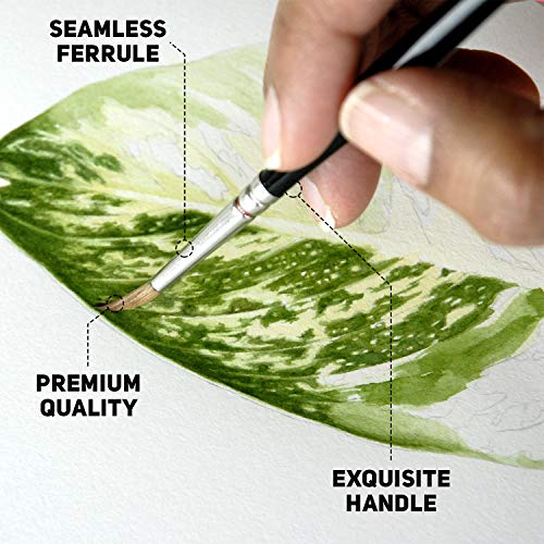 Crafts & Colors Detail Paint Brush Set - 15 Easy Washable Paint Br...