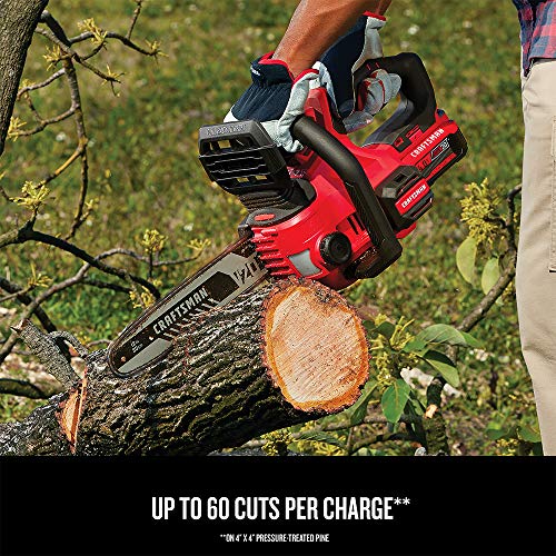 CRAFTSMAN V20 Cordless Chainsaw, 12-Inch CMCCS620M1