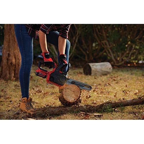 CRAFTSMAN V20 Cordless Chainsaw, 12-Inch CMCCS620M1