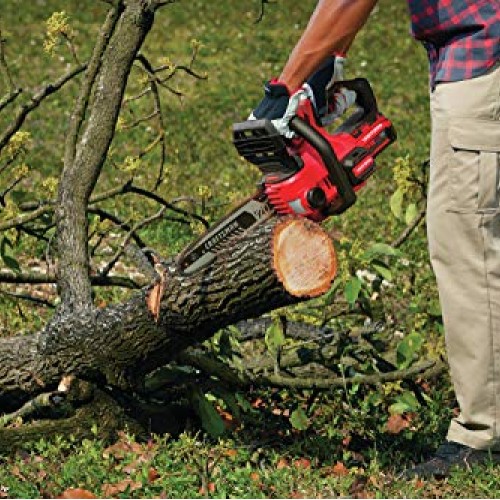 CRAFTSMAN V20 Cordless Chainsaw, 12-Inch CMCCS620M1