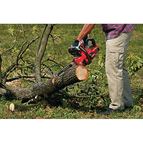 CRAFTSMAN V20 Cordless Chainsaw, 12-Inch CMCCS620M1