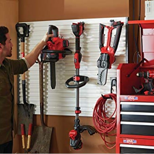 CRAFTSMAN V20 Cordless Chainsaw, 12-Inch CMCCS620M1