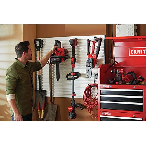 CRAFTSMAN V20 Cordless Chainsaw, 12-Inch CMCCS620M1