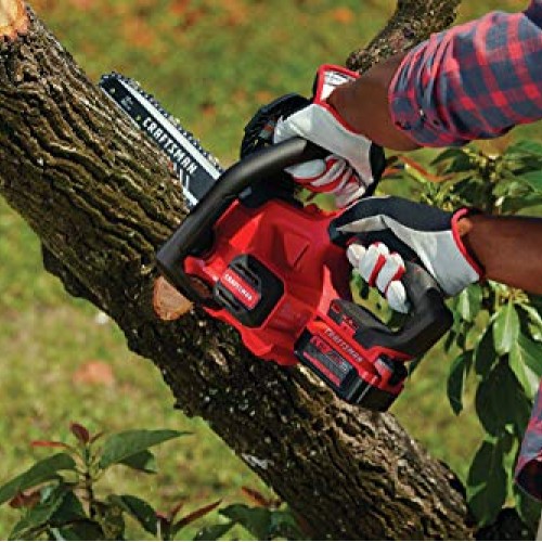 CRAFTSMAN V20 Cordless Chainsaw, 12-Inch CMCCS620M1