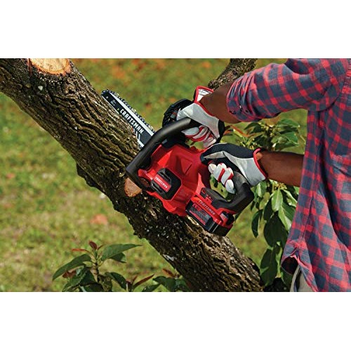 CRAFTSMAN V20 Cordless Chainsaw, 12-Inch CMCCS620M1